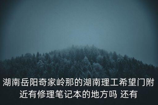 湖南岳陽奇家?guī)X那的湖南理工希望門附近有修理筆記本的地方嗎 還有