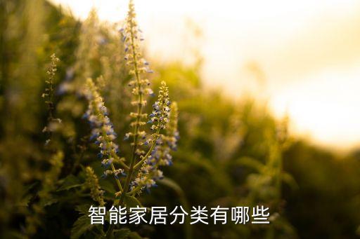 智能家居分類有哪些