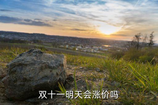雙十一明天會漲價嗎