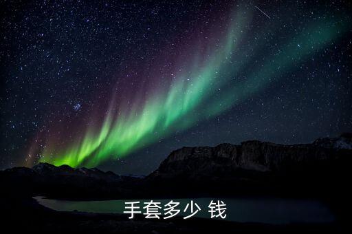 手套多少 錢