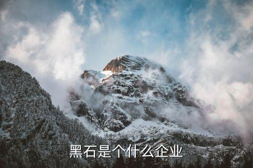 黑石是個什么企業(yè)