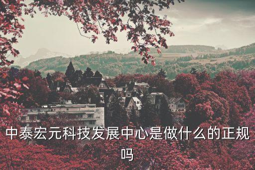 中泰宏元科技發(fā)展中心是做什么的正規(guī)嗎
