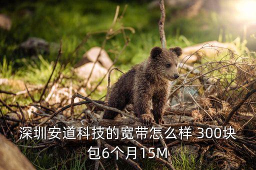 深圳安道智能科技怎么樣，深圳安道科技的寬帶怎么樣 300塊包6個(gè)月15M