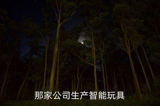 那家公司生產(chǎn)智能玩具
