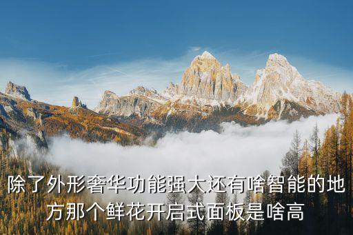除了外形奢華功能強大還有啥智能的地方那個鮮花開啟式面板是啥高