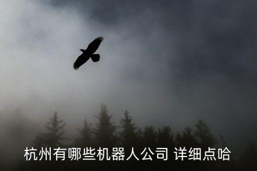 杭州有哪些機器人公司 詳細點哈