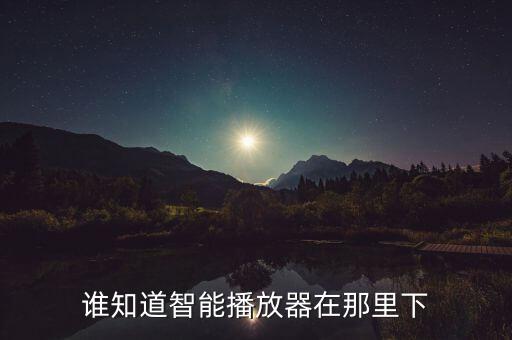 誰知道智能播放器在那里下