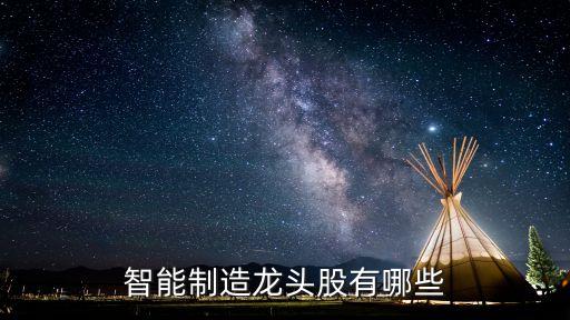 智能科技股龍頭股有哪些，智能制造龍頭股有哪些