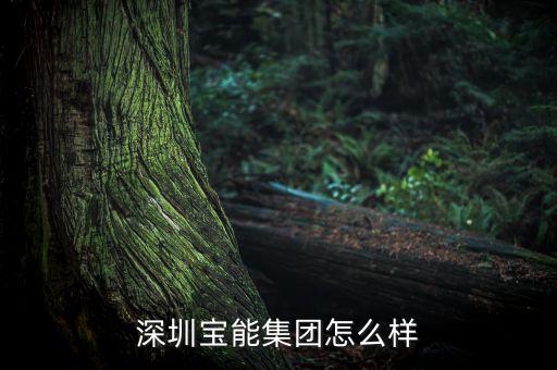 深圳寶能集團(tuán)怎么樣