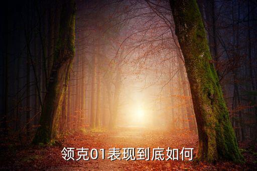 領(lǐng)克01表現(xiàn)到底如何