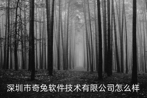 深圳市奇兔軟件技術(shù)有限公司怎么樣