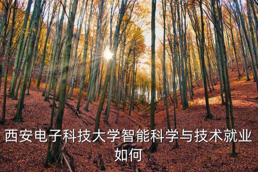 伍強智能科技收益怎么樣，請問武漢漢迪機器人科技有限公司怎樣待遇如何