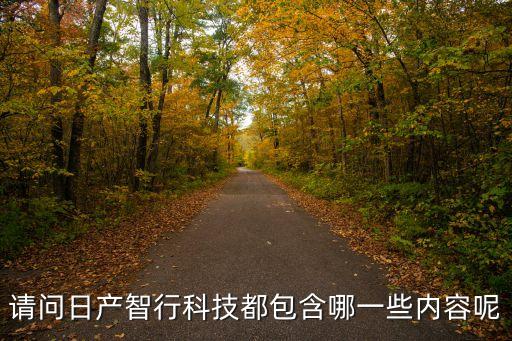 請問日產(chǎn)智行科技都包含哪一些內(nèi)容呢