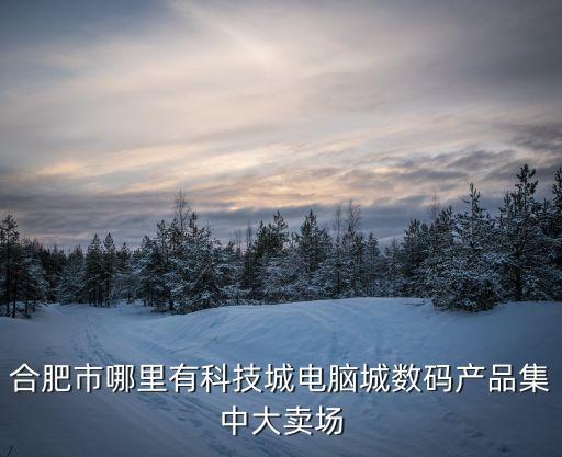 合肥市哪里有科技城電腦城數(shù)碼產(chǎn)品集中大賣場(chǎng)