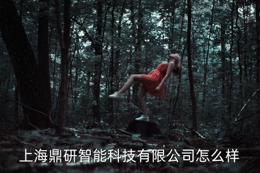 無(wú)量智能科技公司怎么樣，意力電子廣州科技有限公司怎么樣