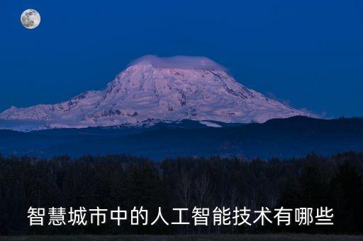 智慧城市中的人工智能技術(shù)有哪些