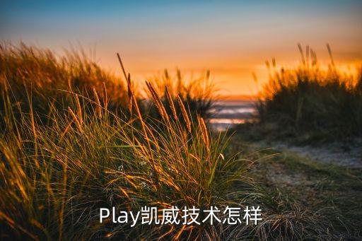 Play凱威技術(shù)怎樣