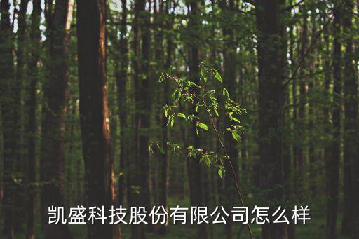 凱盛科技股份有限公司怎么樣