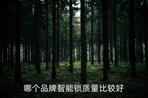 鑫洋科技智能鎖怎么樣，有誰知道智能鎖那家的比較靠譜