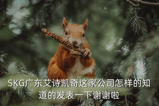 SKG廣東艾詩凱奇這家公司怎樣的知道的發(fā)表一下謝謝啦