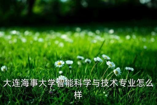 大連海事大學(xué)智能科學(xué)與技術(shù)專(zhuān)業(yè)怎么樣