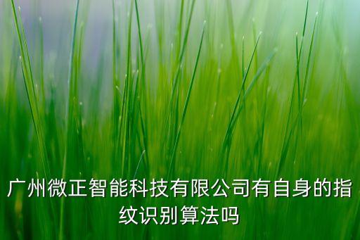 廣州微正智能科技有限公司有自身的指紋識別算法嗎