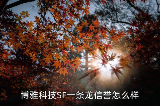 博雅智能科技怎么樣，博雅中國集團(tuán)實(shí)力怎么樣是國企嗎
