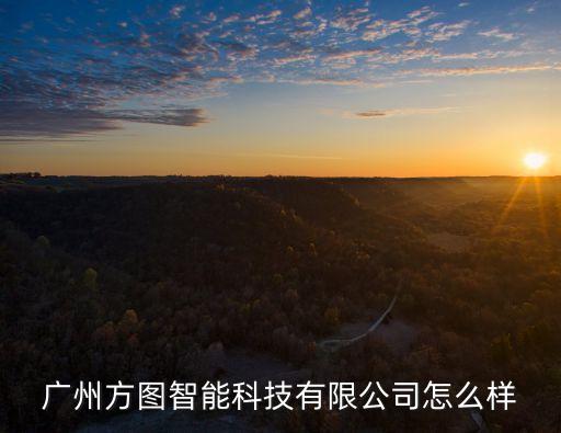 廣州方圖智能科技有限公司怎么樣