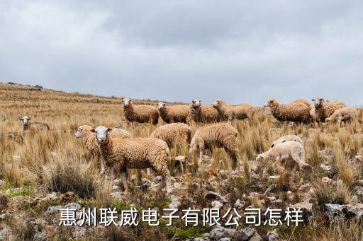 惠州聯(lián)威電子有限公司怎樣