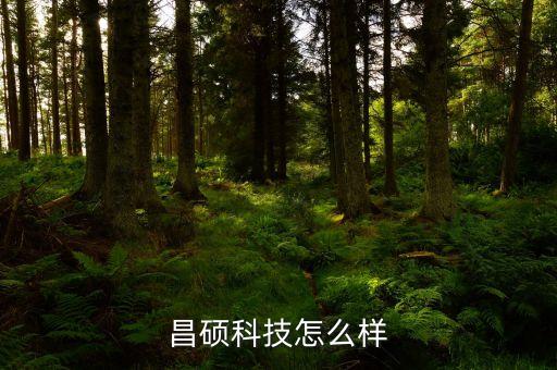 昌碩科技怎么樣
