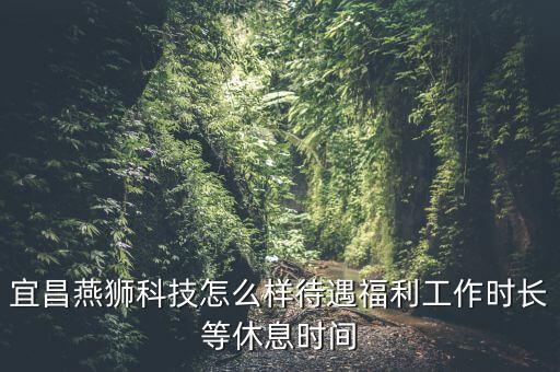 宜昌燕獅科技怎么樣待遇福利工作時(shí)長(zhǎng)等休息時(shí)間