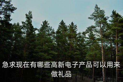 智能高科技禮品有哪些產(chǎn)品，現(xiàn)在有那些高科技產(chǎn)品的禮物