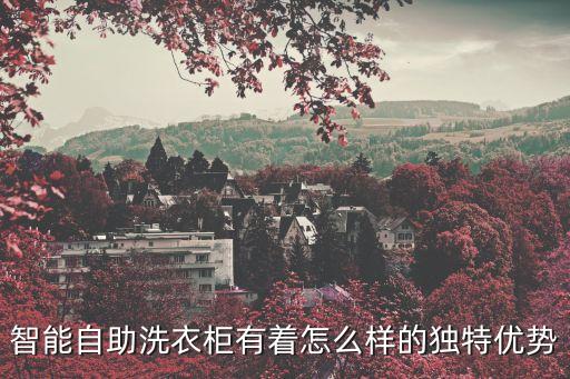 智能自助洗衣柜有著怎么樣的獨(dú)特優(yōu)勢(shì)