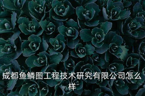 魚圖智能科技怎么樣，成都魚鱗圖工程技術(shù)研究有限公司怎么樣