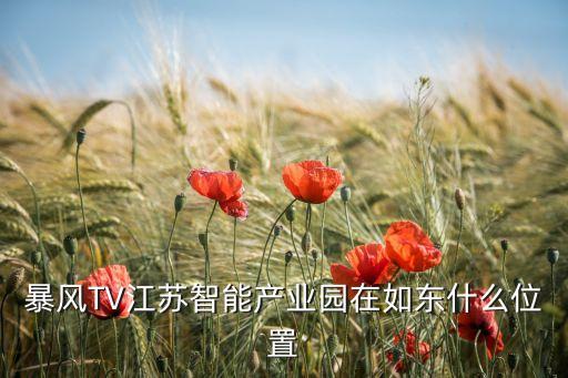 大型智能科技產(chǎn)業(yè)園區(qū)在哪里，天翔智能產(chǎn)業(yè)園在哪