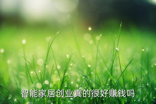 智能家居創(chuàng)業(yè)真的很好賺錢嗎
