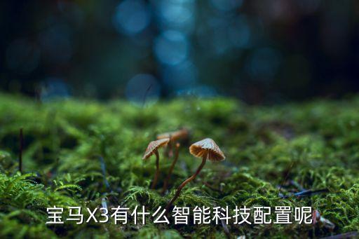 智能科技有哪些配套，請(qǐng)問(wèn)2020款藍(lán)鳥(niǎo)的智能科技配置有哪些