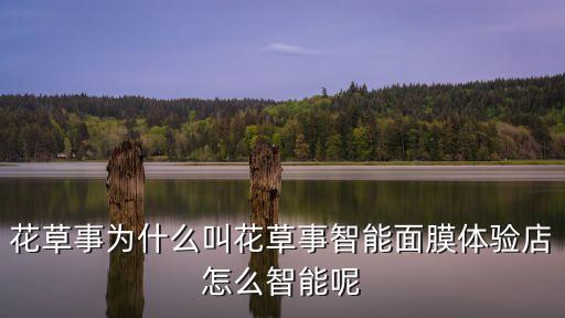 花草事為什么叫花草事智能面膜體驗店怎么智能呢