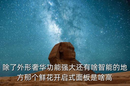 除了外形奢華功能強(qiáng)大還有啥智能的地方那個(gè)鮮花開(kāi)啟式面板是啥高