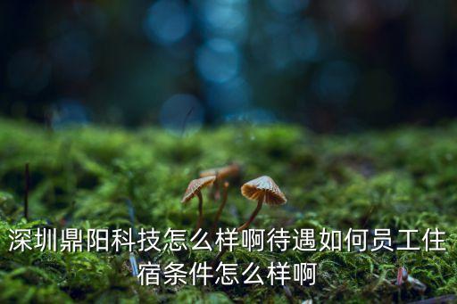 深圳鼎陽科技怎么樣啊待遇如何員工住宿條件怎么樣啊