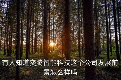 霄騰智能科技怎么樣，有人知道奕騰智能科技這個(gè)公司發(fā)展前景怎么樣嗎