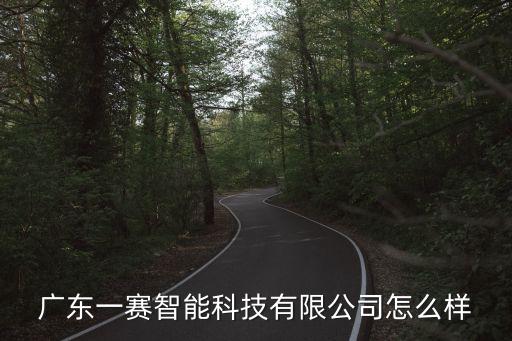 廣東一賽智能科技有限公司怎么樣