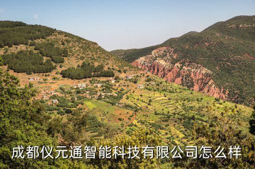 儀電智能科技公司如何樣，上海儀電智能電子有限公司待遇如何啊