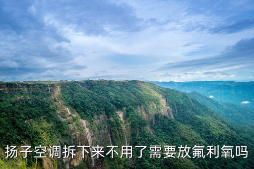 揚(yáng)子空調(diào)拆下來不用了需要放氟利氧嗎