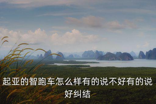 起亞的智跑車怎么樣有的說不好有的說好糾結