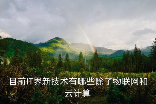 目前IT界新技術(shù)有哪些除了物聯(lián)網(wǎng)和云計(jì)算