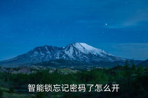 智能鎖忘記密碼了怎么開