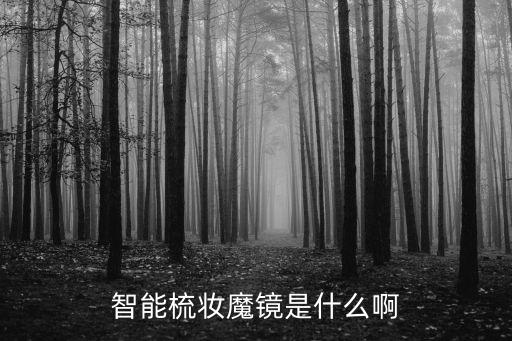 智能梳妝魔鏡是什么啊