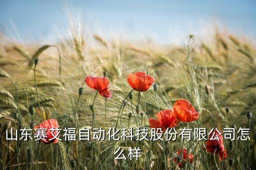 山東賽艾福自動(dòng)化科技股份有限公司怎么樣