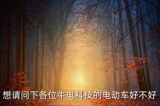 想請問下各位牛電科技的電動車好不好